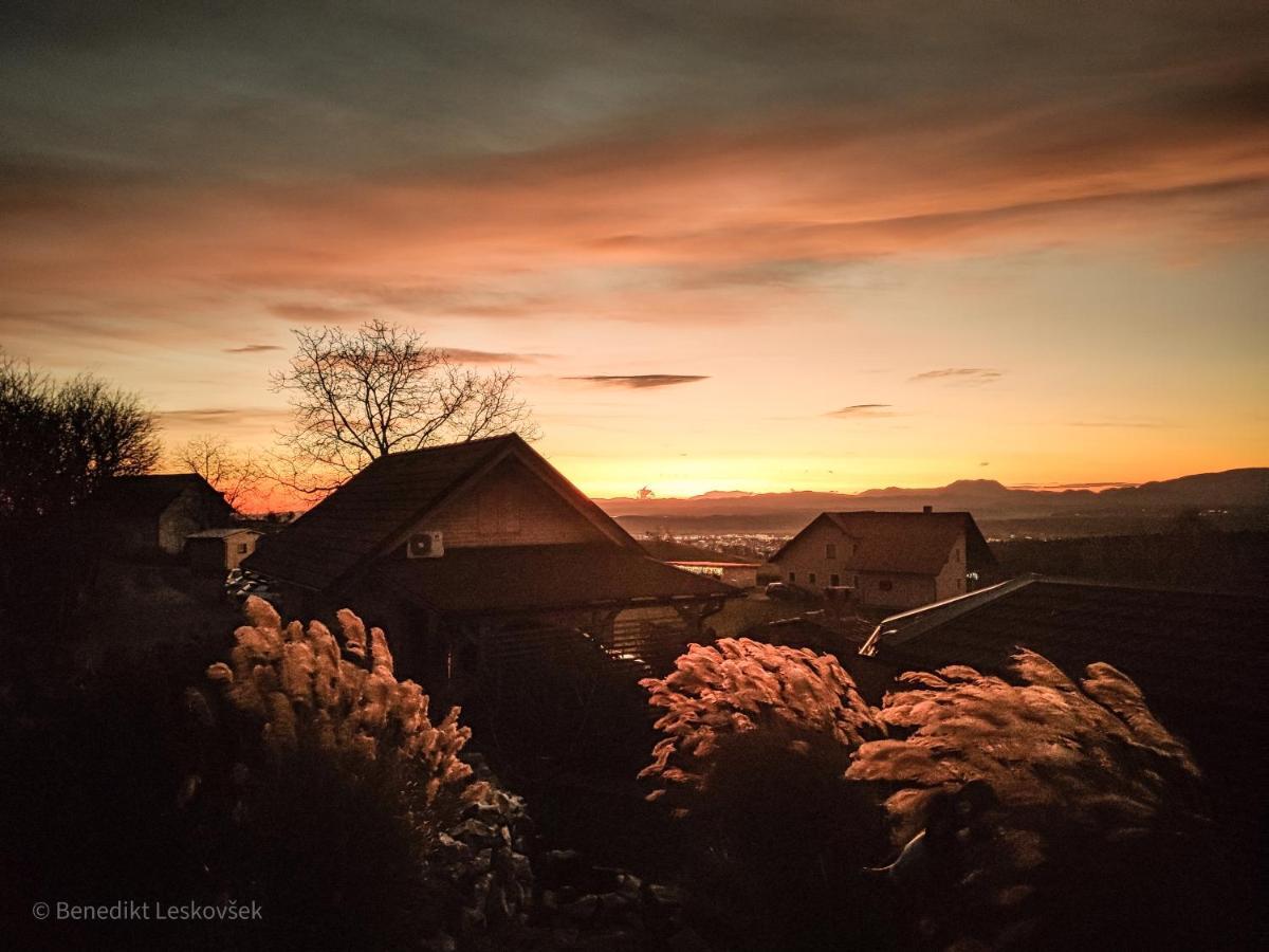 Panorama Glamping Visole Slovenska Bistrica Exterior foto