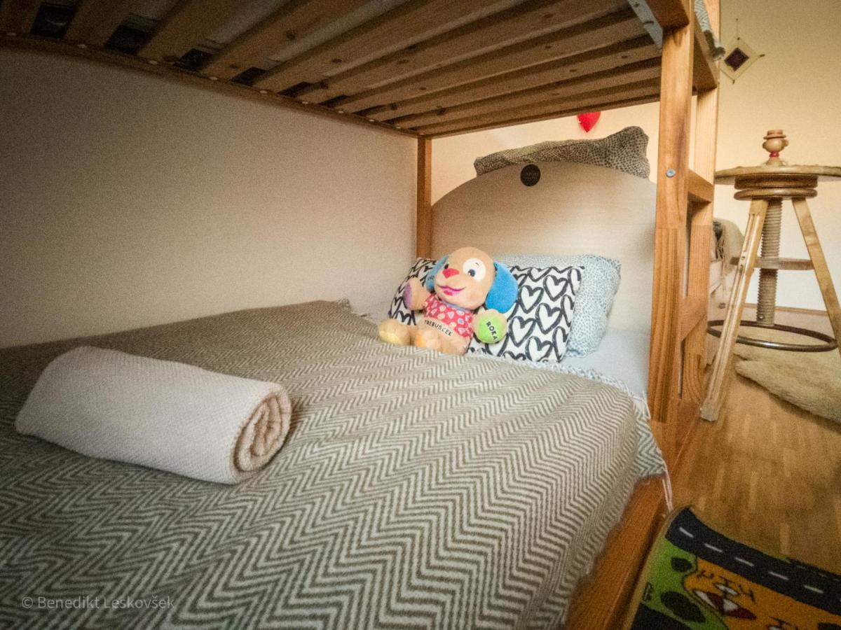 Panorama Glamping Visole Slovenska Bistrica Exterior foto