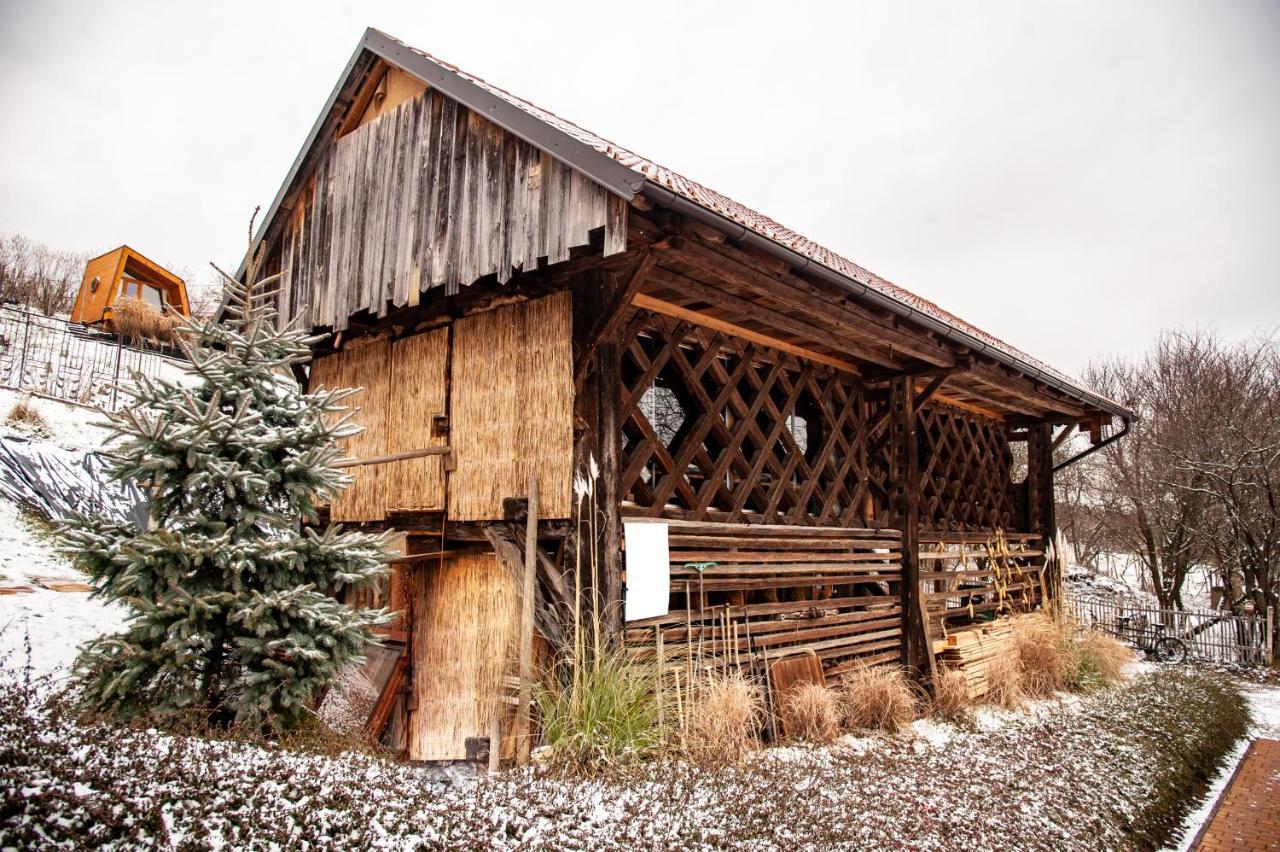 Panorama Glamping Visole Slovenska Bistrica Exterior foto