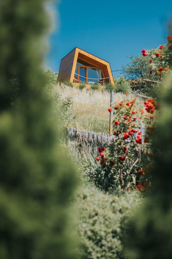 Panorama Glamping Visole Slovenska Bistrica Exterior foto